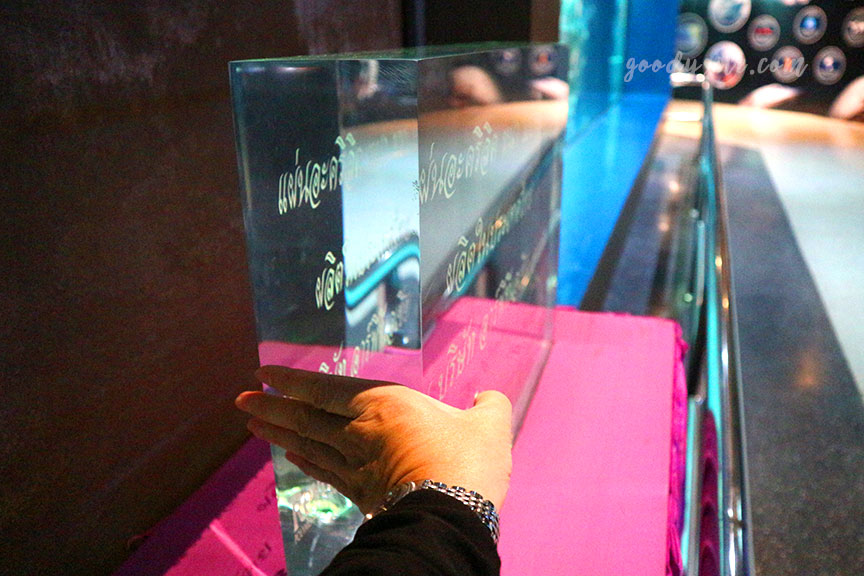 ภูเก็ต 6 สถานแสดงพันธุ์สัตว์น้ำภูเก็ต Phuket Aquarium