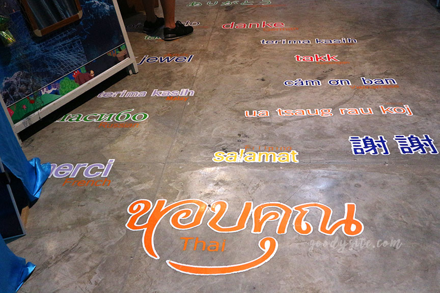 ภูเก็ต 6 สถานแสดงพันธุ์สัตว์น้ำภูเก็ต Phuket Aquarium