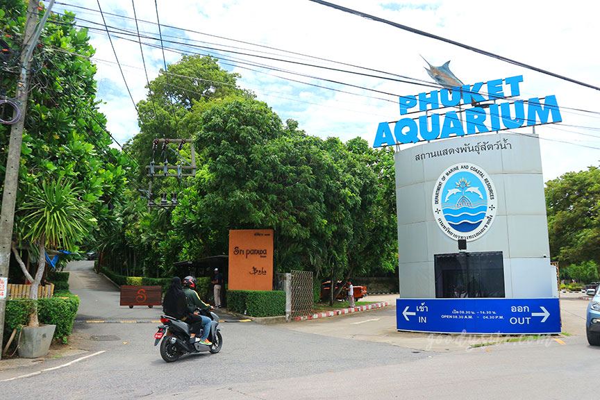 ภูเก็ต 6 สถานแสดงพันธุ์สัตว์น้ำภูเก็ต Phuket Aquarium