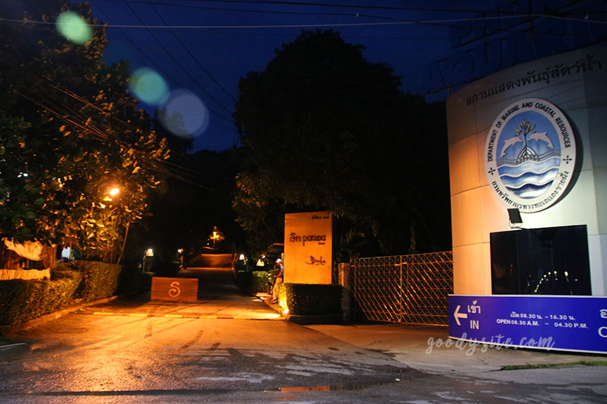 ภูเก็ต 10 โรงแรมศรีพันวา5 ครัวบลูเวฟ Blue Wave Restaurant