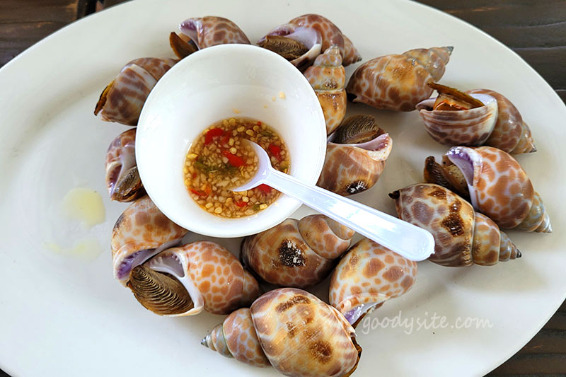 Sea Blue Restaurant ร้านอร่อย ริมทะเลที่นาจอมเทียน