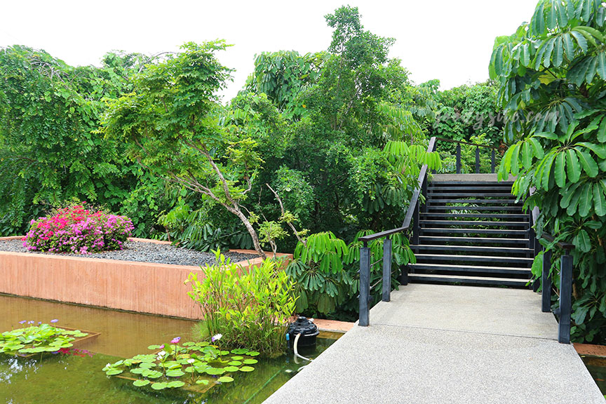 ภูเก็ต 8 โรงแรมศรีพันวา2 The Landscape