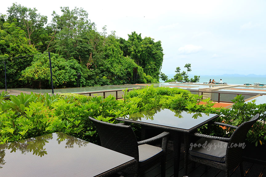 ภูเก็ต 8 โรงแรมศรีพันวา2 The Landscape