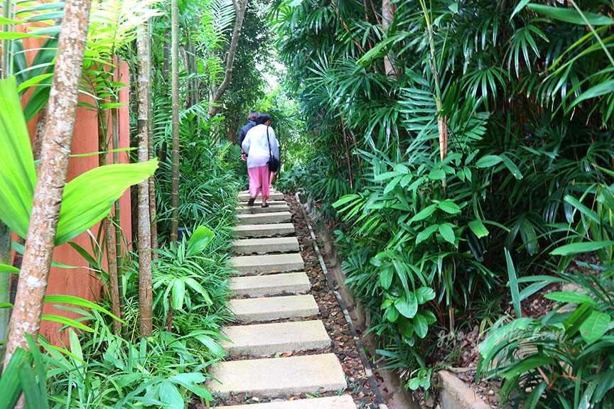 ภูเก็ต 8 โรงแรมศรีพันวา2 The Landscape