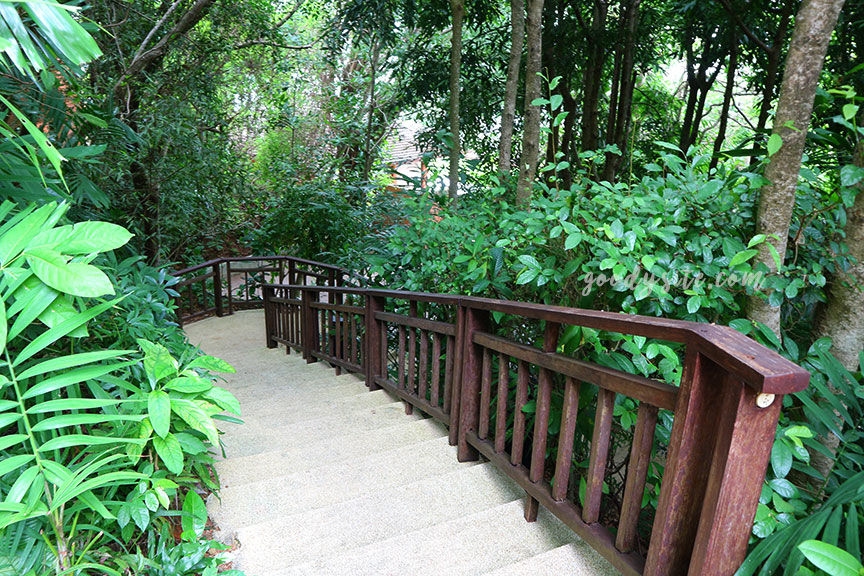 ภูเก็ต 8 โรงแรมศรีพันวา2 The Landscape