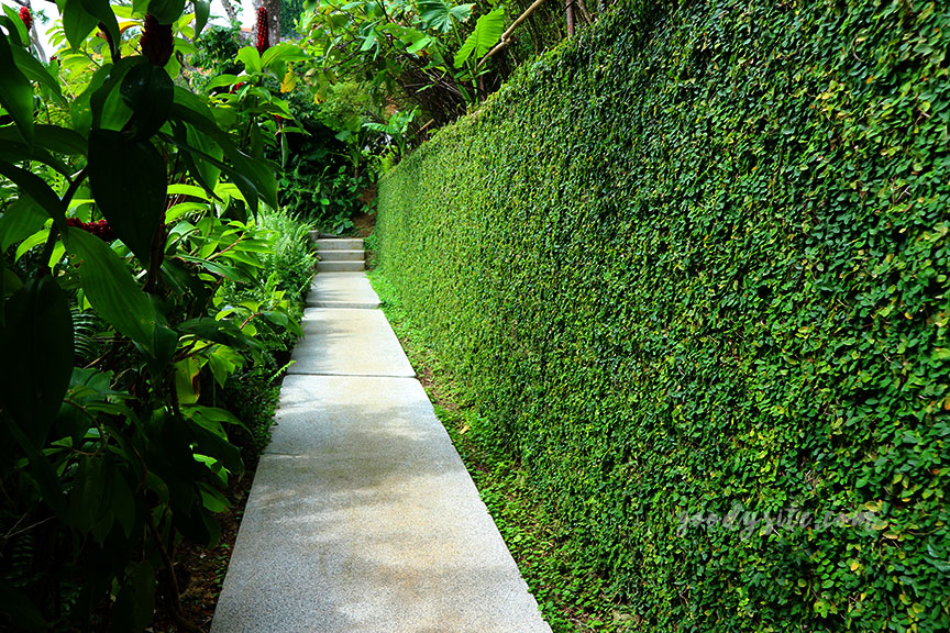 ภูเก็ต 8 โรงแรมศรีพันวา2 The Landscape