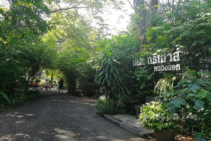 เดอะ ทรีเฮาส์ หนองจอก (The Tree house Nongchok)
