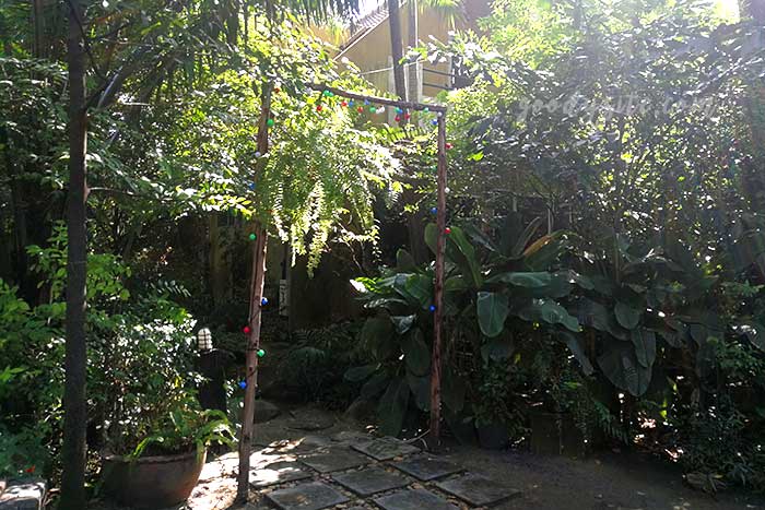 เดอะ ทรีเฮาส์ หนองจอก (The Tree house Nongchok)