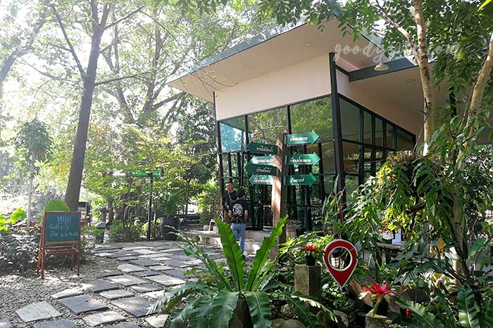 เดอะ ทรีเฮาส์ หนองจอก (The Tree house Nongchok)