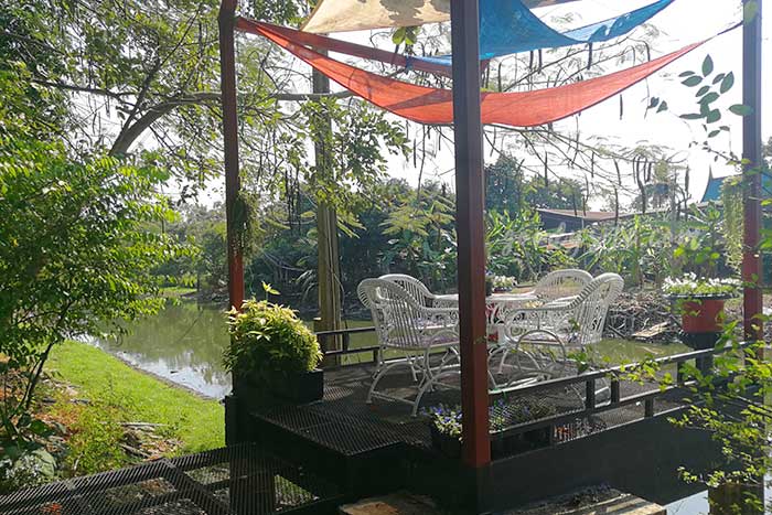 เดอะ ทรีเฮาส์ หนองจอก (The Tree house Nongchok)