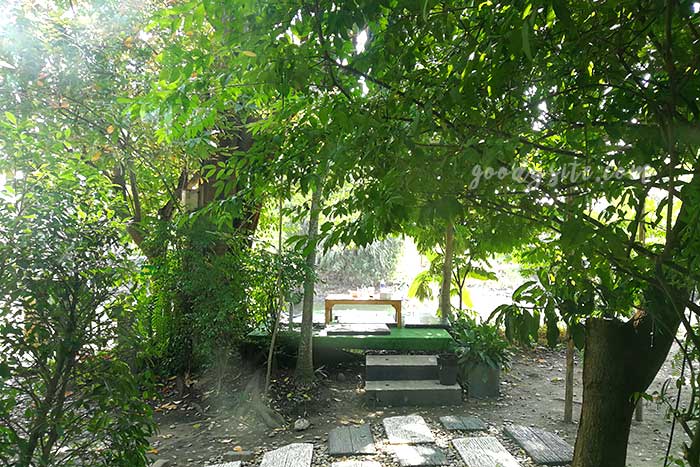 เดอะ ทรีเฮาส์ หนองจอก (The Tree house Nongchok)