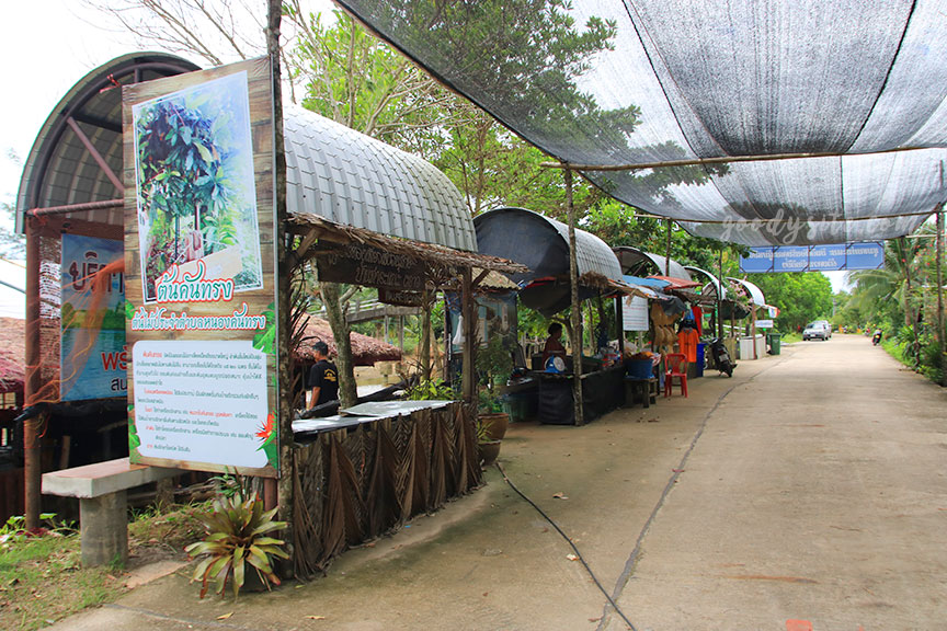 ตราด 5 บ้านท่าระแนะ กับลานตะบูน
