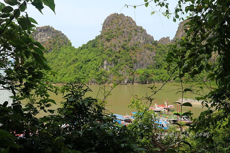 เวียดนามอีกครั้ง 5 ฮาลองเบย์