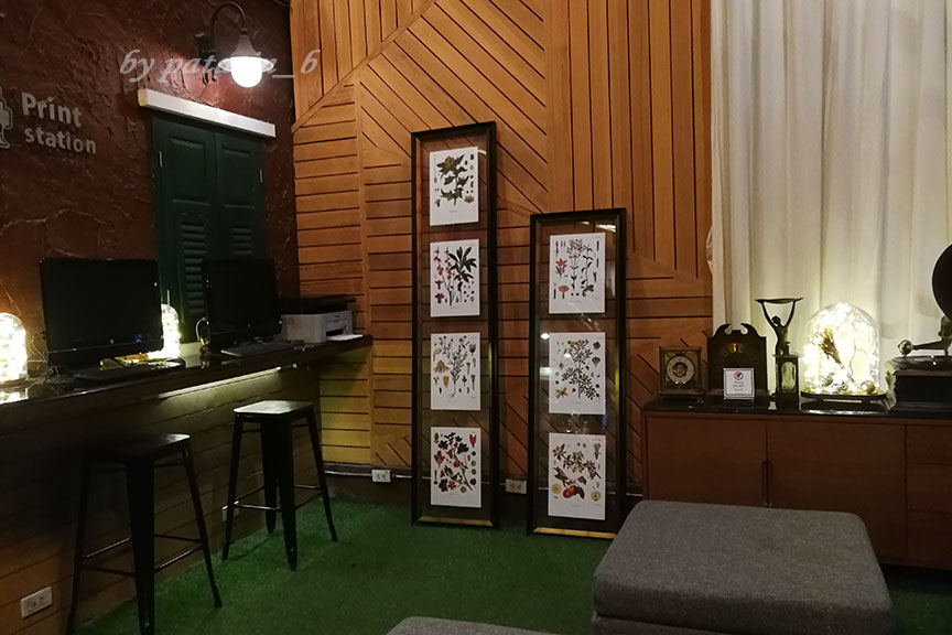 โรงแรมโบตานิค เซอร์วิส รูม