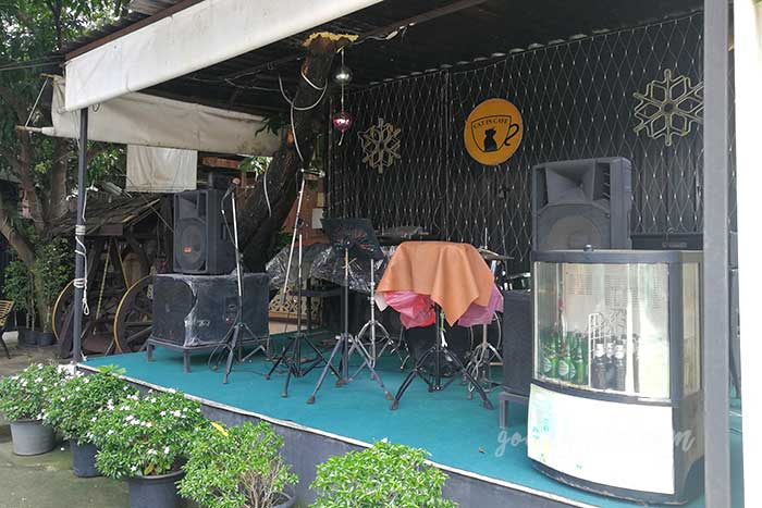 ไปเที่ยว Cat in Cafe