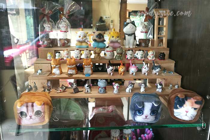 ไปเที่ยว Cat in Cafe