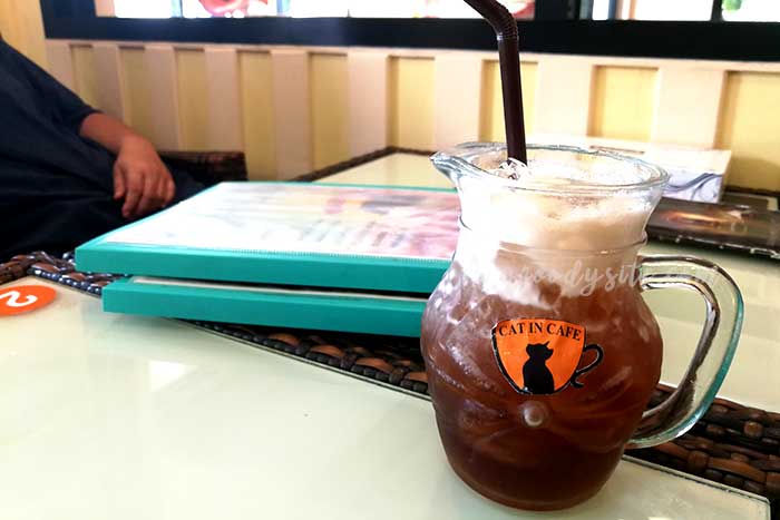 ไปเที่ยว Cat in Cafe