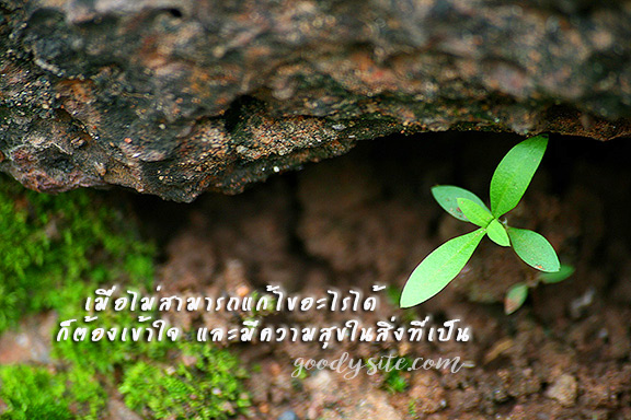 เข้าใจ และมีความสุขในสิ่งที่มี