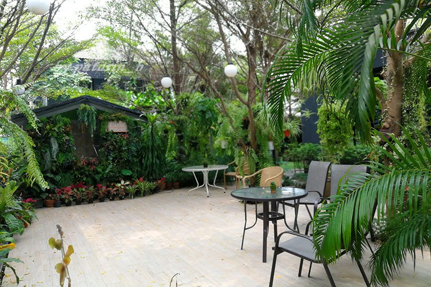 ร้านอาหาร Pata Plantation นนทบุรี