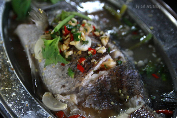 เรือนแพ ฟิชชิ่ง ปาร์ค