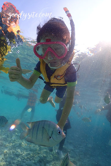 สัตหีบ 5 Snorkel - Under the Sea