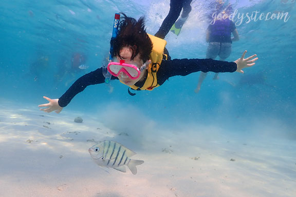 สัตหีบ 5 Snorkel - Under the Sea