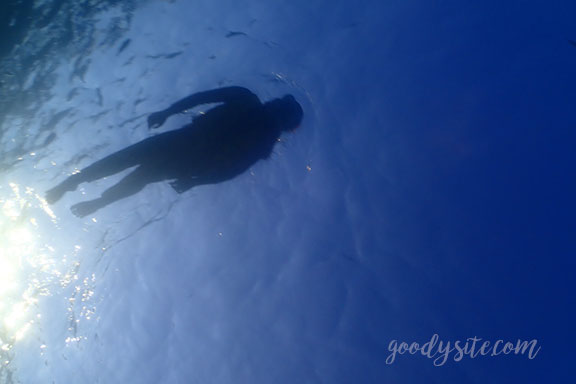 สัตหีบ 5 Snorkel - Under the Sea