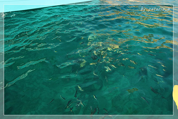 สัตหีบ 4 Snorkel - บนเรือ บนน้ำ