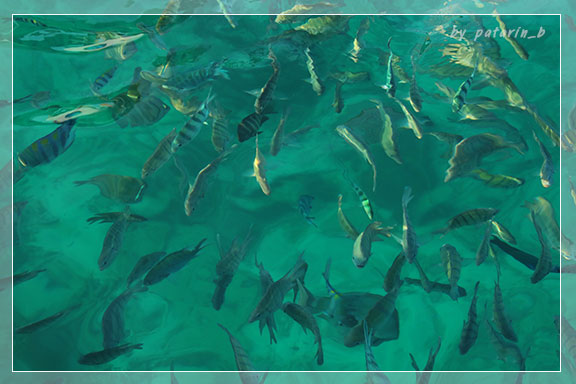 สัตหีบ 4 Snorkel - บนเรือ บนน้ำ