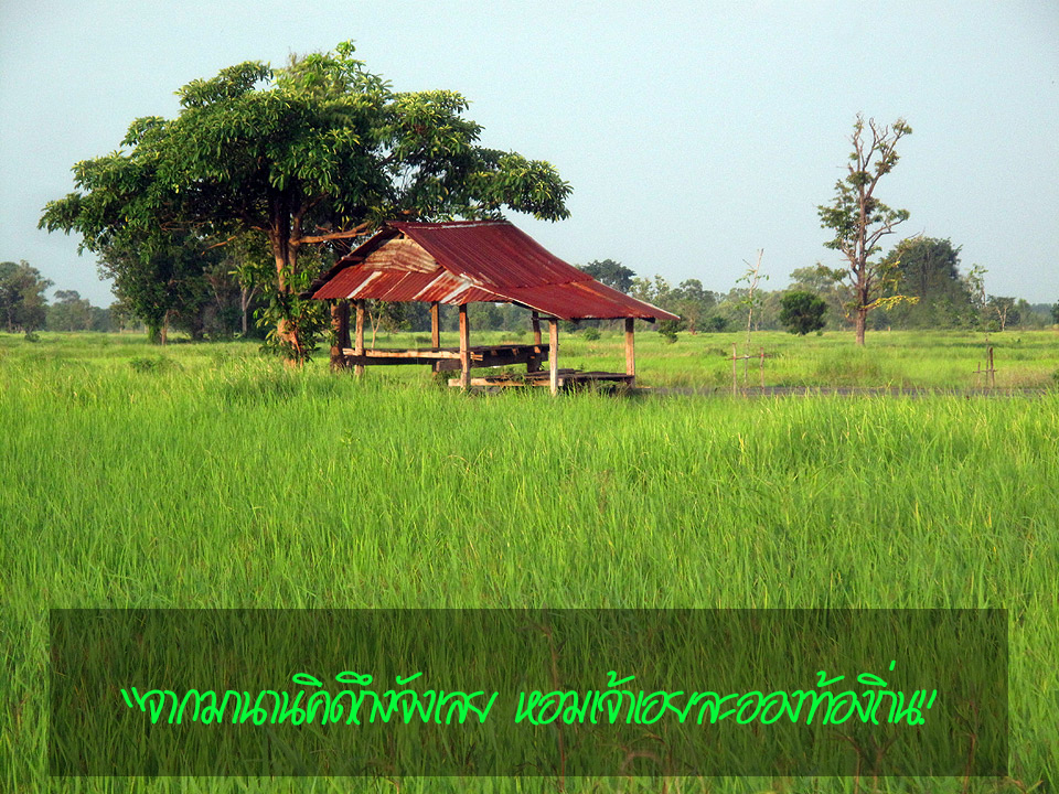 พอใจในสิ่งที่มี ยินดีในสิ่งที่ได้